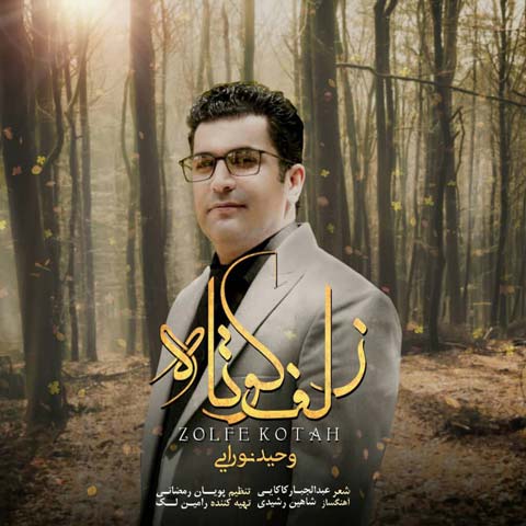 دانلود آهنگ وحید نورایی زلف کوتاه